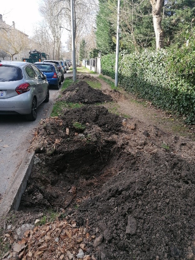 fausse de plantation alignement